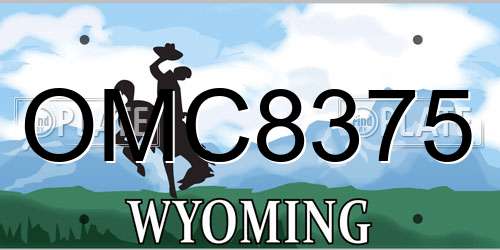 OMC8375 Wyoming License Plate