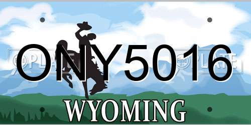 ONY5016 Wyoming License Plate