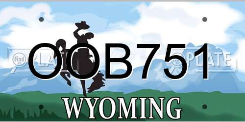 OOB751 Wyoming License Plate