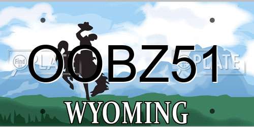 OOBZ51 Wyoming License Plate