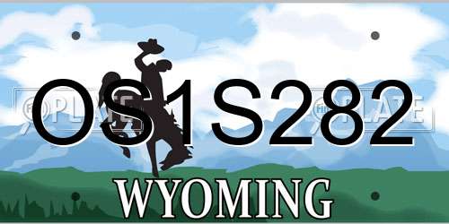 OS1S282 Wyoming License Plate