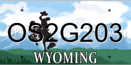 OS2G203 Wyoming License Plate