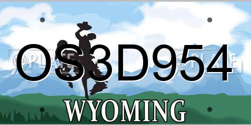 OS3D954 Wyoming License Plate
