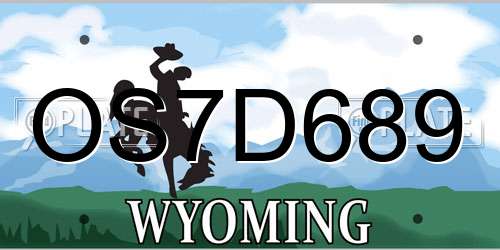 OS7D689 Wyoming License Plate