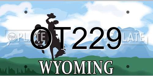 OT229 Wyoming License Plate