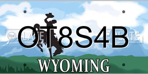 OT8S4B Wyoming License Plate