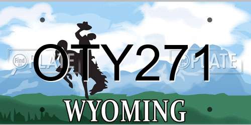 OTY271 Wyoming License Plate