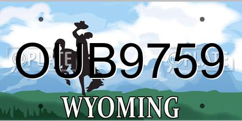 OUB9759 Wyoming License Plate