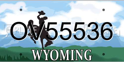 OV55536 Wyoming License Plate