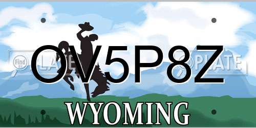 OV5P8Z Wyoming License Plate