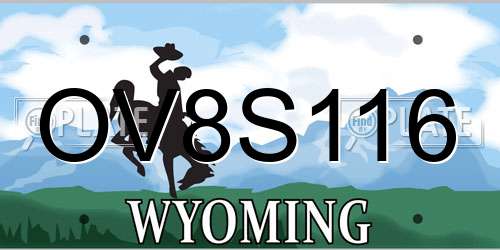 OV8S116 Wyoming License Plate