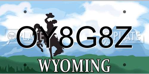 OY8G8Z Wyoming License Plate