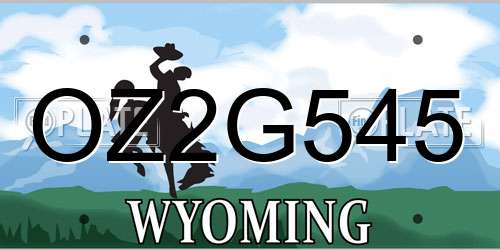OZ2G545 Wyoming License Plate