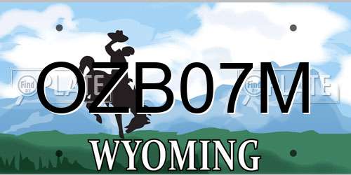 OZB07M Wyoming License Plate