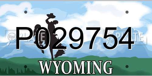 P029754 Wyoming License Plate