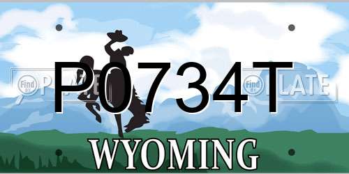 P0734T Wyoming License Plate