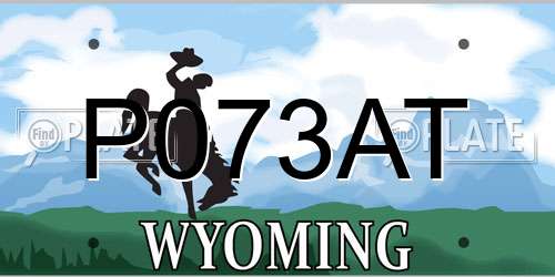 P073AT Wyoming License Plate