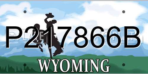 P217866B Wyoming License Plate