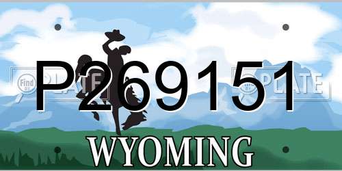 P269151 Wyoming License Plate