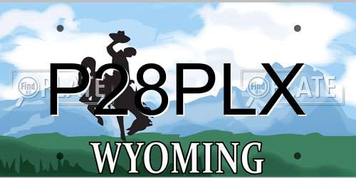 P28PLX Wyoming License Plate