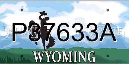 P37633A Wyoming License Plate