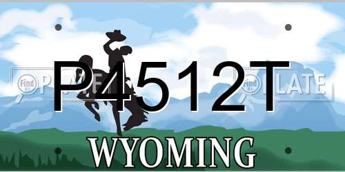 P4512T Wyoming License Plate