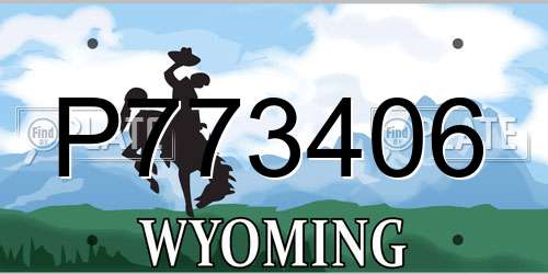 P773406 Wyoming License Plate
