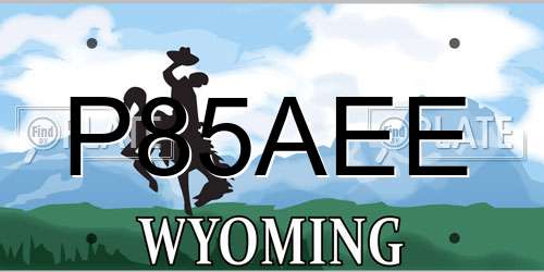P85AEE Wyoming License Plate