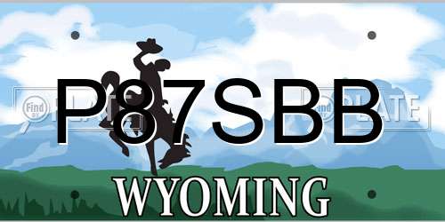 P87SBB Wyoming License Plate