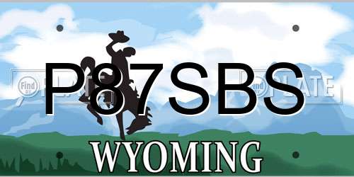 P87SBS Wyoming License Plate