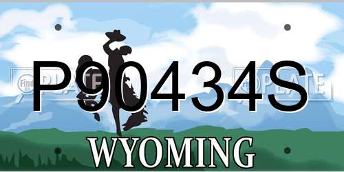 P90434S Wyoming License Plate