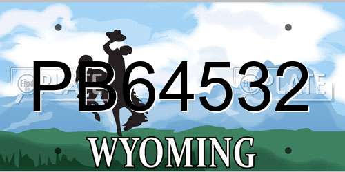 PB64532 Wyoming License Plate