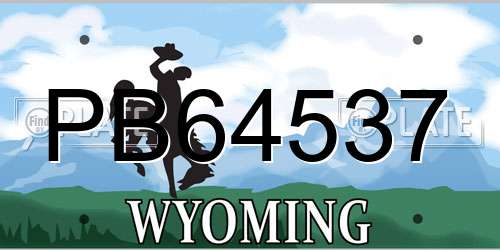 PB64537 Wyoming License Plate