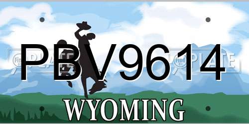 PBV9614 Wyoming License Plate