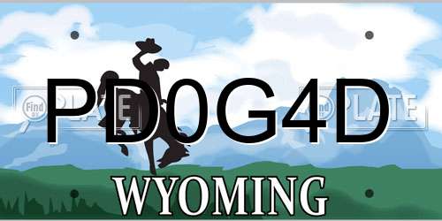 PD0G4D Wyoming License Plate