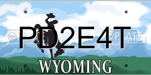 PD2E4T Wyoming License Plate