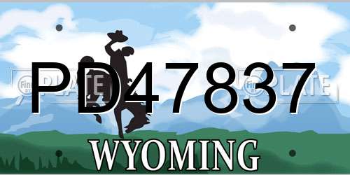 PD47837 Wyoming License Plate