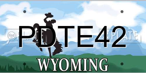PDTE42 Wyoming License Plate