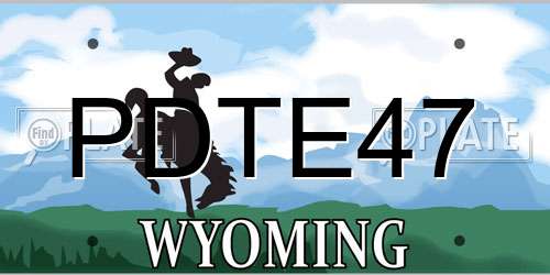 PDTE47 Wyoming License Plate