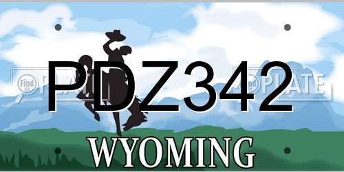 PDZ342 Wyoming License Plate