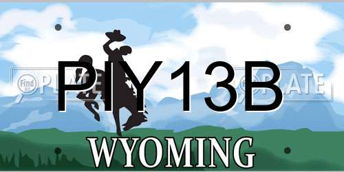 PIY13B Wyoming License Plate