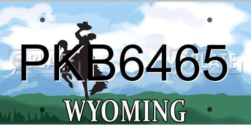 PKB6465 Wyoming License Plate