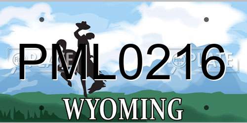 PML0216 Wyoming License Plate
