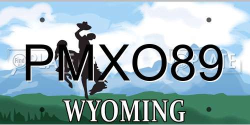 PMXO89 Wyoming License Plate