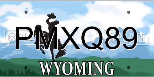 PMXQ89 Wyoming License Plate