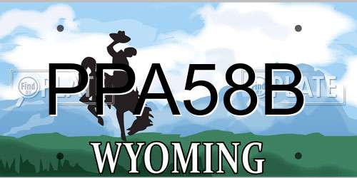 PPA58B Wyoming License Plate