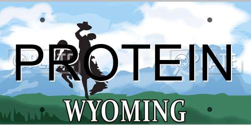 PROTEIN Wyoming License Plate