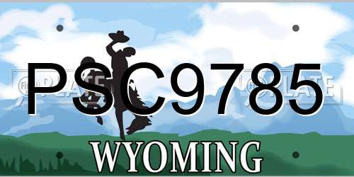PSC9785 Wyoming License Plate