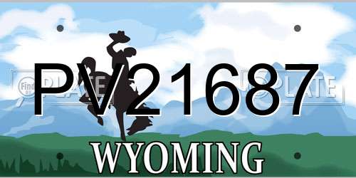 PV21687 Wyoming License Plate
