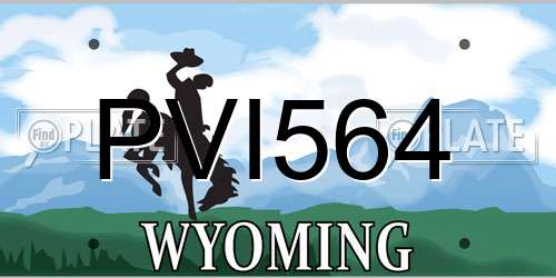 PVI564 Wyoming License Plate